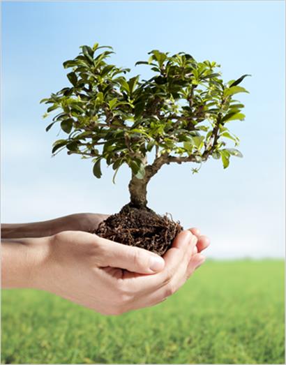 Supporting your business growth