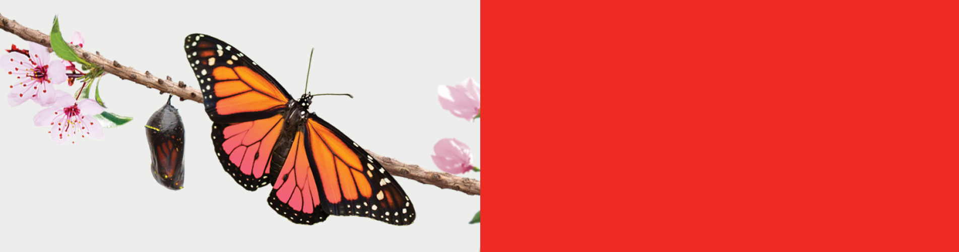 Mailbox Rental Bath Parcel Delivery Bath Mailboxes Etc